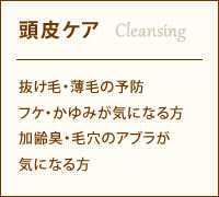 頭皮ケア 抜け毛・薄毛の予防、フケ・かゆみが気になる方、加齢臭・毛穴のアブラが
気になる方