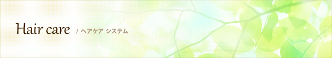 Hair care / ヘアケア システム