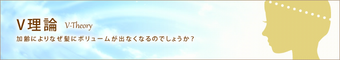V理論　加齢によりなぜ髪にボリュームが出なくなるのでしょうか？