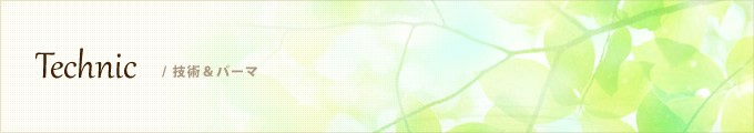 Technic / 技術&パーマ