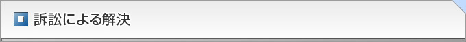 訴訟による解決