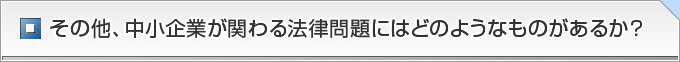 その他、中小企業が関わる法律問題にはどのようなものがあるか？